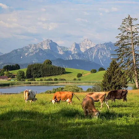 Im Allgaeu * Halblech