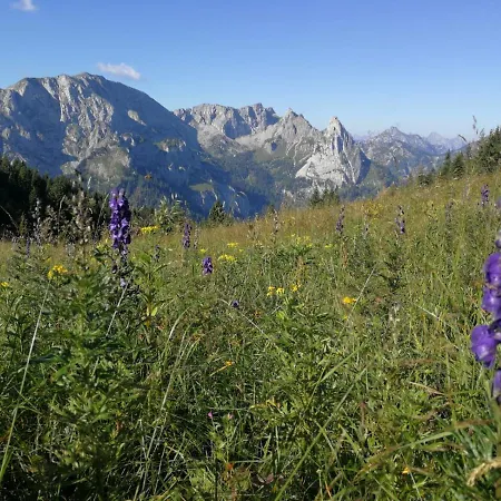 Im Allgaeu Apartman Halblech