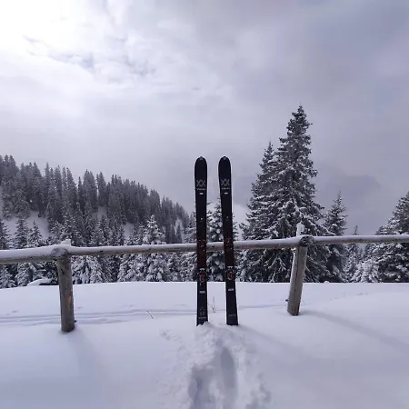 Im Allgäu *