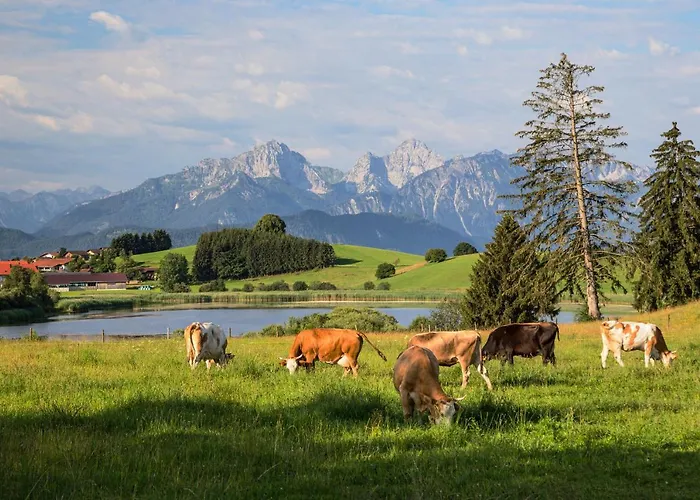 Im Allgaeu * Halblech